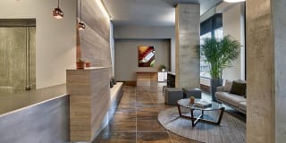Vine Gallery 16