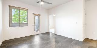 Olympus Alameda Gallery 15