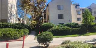 5202 Summertime Gallery 1