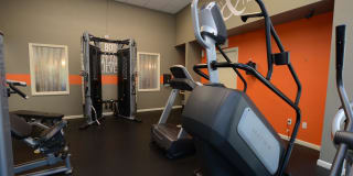 Lake Forest Gallery 31