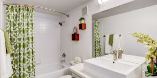 Vida Gallery 23