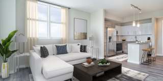 The Rise Flagler Village Gallery 32