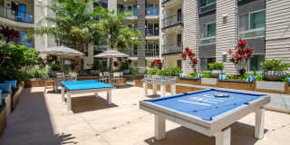 Vive on the Park Gallery 36