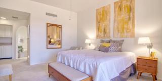 784 E Camino Diestro Gallery 26