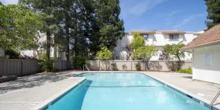 1173 Capri Drive Gallery 55