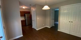 74 Mt Moriah Road Gallery 16