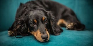 Hibernia Tower Gallery 21