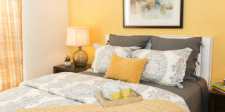 The Groves At Piney Orchard Gallery 4