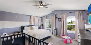 15736 Home Court Gallery 19