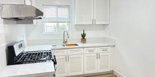 3912 Maple Gallery 6