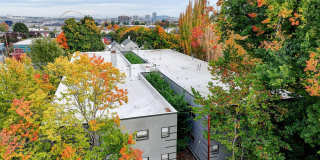 Forestry Court Gallery 25