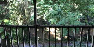 Convenient 2/2 Orlando Condo – Water & Garbage Included! Convenient 2/2 Orlando Condo – Water & Garbage Included! Gallery 9