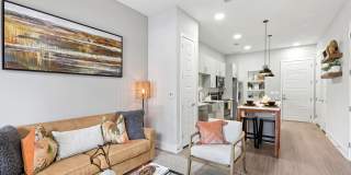 Trailhead Gallery 8