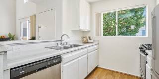 The Terrace Apartments Gallery 75