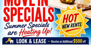Windsor Park Gallery 19