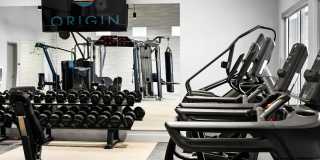 Origin Gallery 36