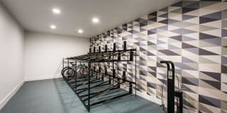 Roadrunner on McDowell Gallery 27