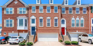8250 RED CARNATION Court Gallery 19
