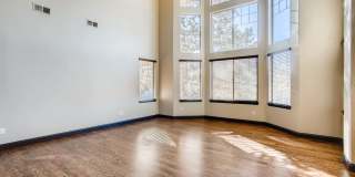 1696 Avenida Del Sol, Castle Rock, CO Gallery 19