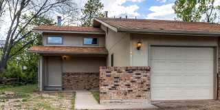 6 Centaur CT Gallery 1