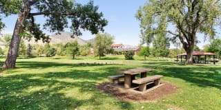 Miners Mesa Gallery 2