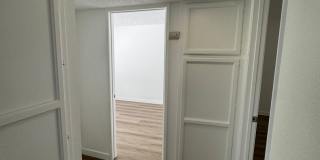 Maple Apartments Gallery 7