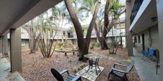 MOVE-IN SPECIAL! Stunning Renovated 1BR in the Heart of South Tampa Gallery 14