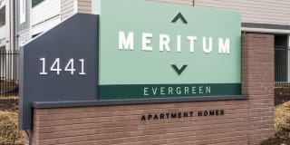 Meritum Evergreen Gallery 33