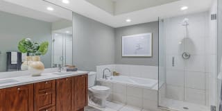 Bell Sunrise Bell Sunrise Gallery 7