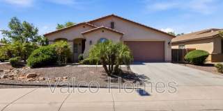 2717 E Ficus Way Gallery 4