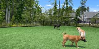 Wren | 3 Bed 2.5 Bath | Garage | 1729 sf | $2831 - $3114 | 8, 9, 10, 12, 14, and 15 month lease terms Gallery 49