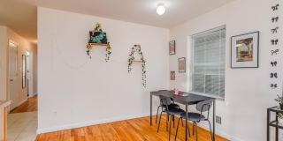 225 BELVEDERE AVE Gallery 4