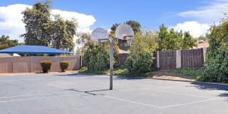 Park West Gallery 21