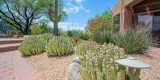 8193 E SAND FLOWER Drive Gallery 89