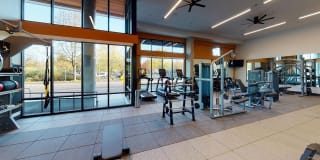 Modera River Trail Gallery 24