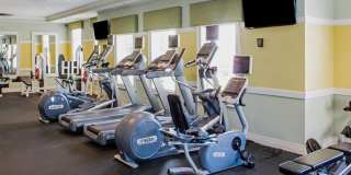 1118 HALIFAX Place Gallery 1