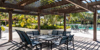 Flamingo South Beach Gallery 18