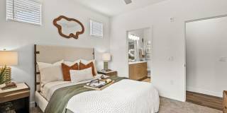 Amavida Marana Gallery 7