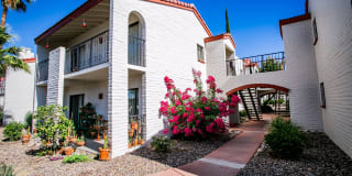 Sonoran Terraces Apartment Homes Gallery 14