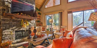21 Staghorn Point Gallery 1
