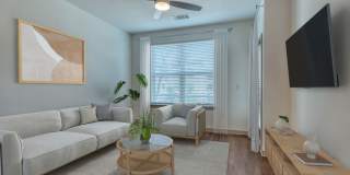 Tacara at Stone Oak Gallery 35