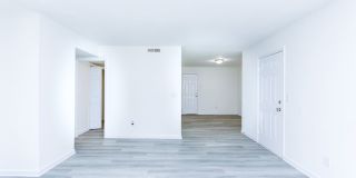 Adar at Golden Gate Gallery 21