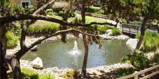 17189 W Bernardo Dr Gallery 21