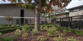 Fulton Oaks Gallery 8