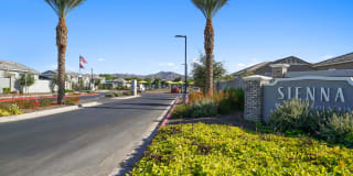 Sienna at South Mountain Gallery 43