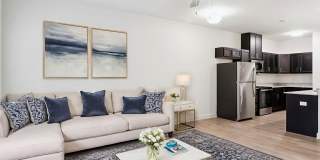 Broad River Village Gallery 1