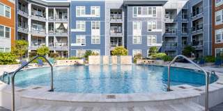 Indigo 19 Gallery 22