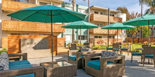 Rica Vista Gallery 1