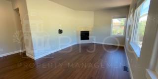 Beautiful 5-Bedroom Home Featuring Pikes Peak Views, Finished Basement & Private Backyard Gallery 10