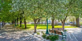 Degree of Honor Gallery 23